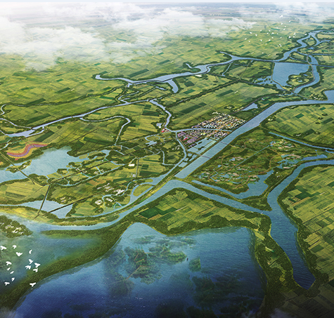 南昌高新区鲤鱼洲白鹤小镇概念规划项目