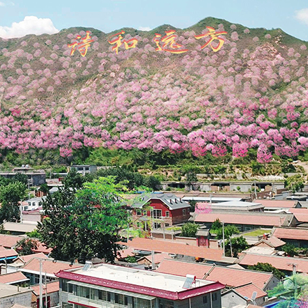 南口镇后桃洼村美丽乡村规划